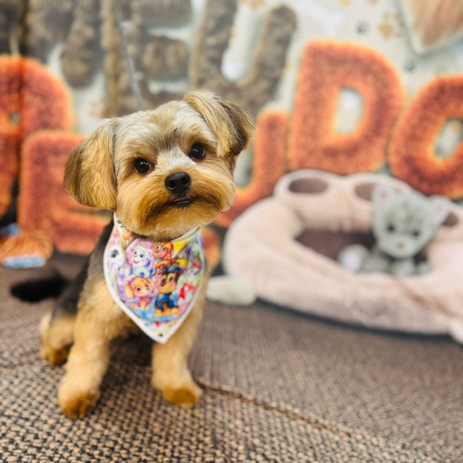 dog pepper pet